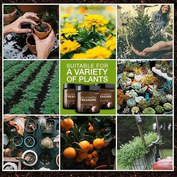 Premium Soil Activator (BUY 1 GET 1 FREE!)